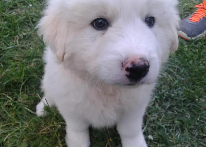 Casa Vacanze Campagna In Compagnia * Meggiano